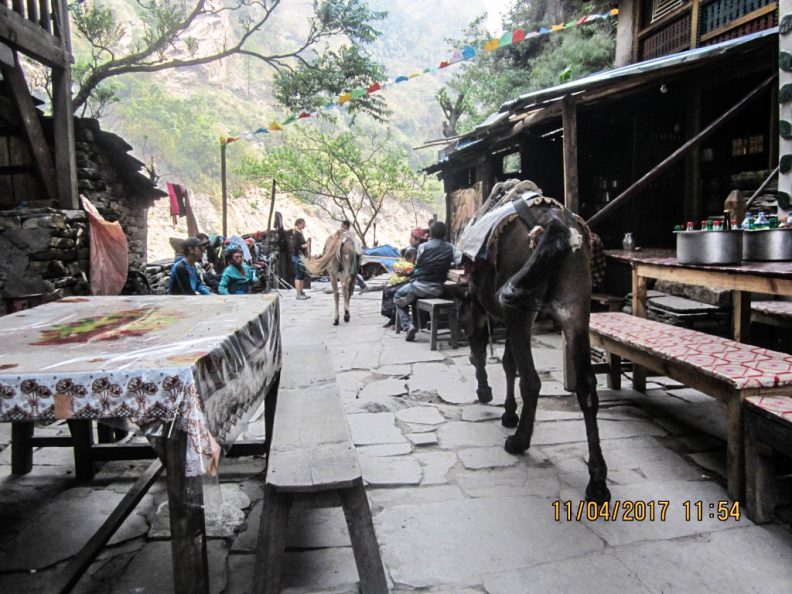 Tato pani village Mnaslu, Nepal