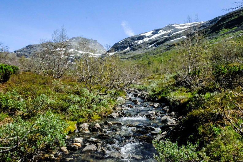 Skogadøla valley in Jotunheimen, Norway